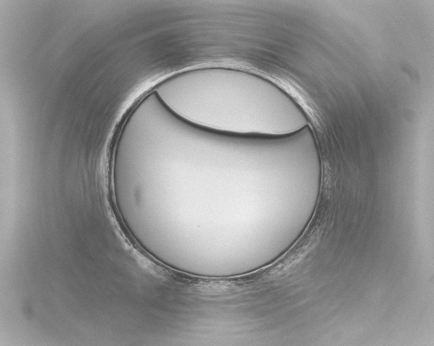 X0000116871046200912220958