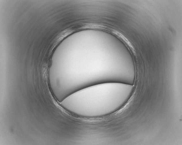 X0000116871049200912220958
