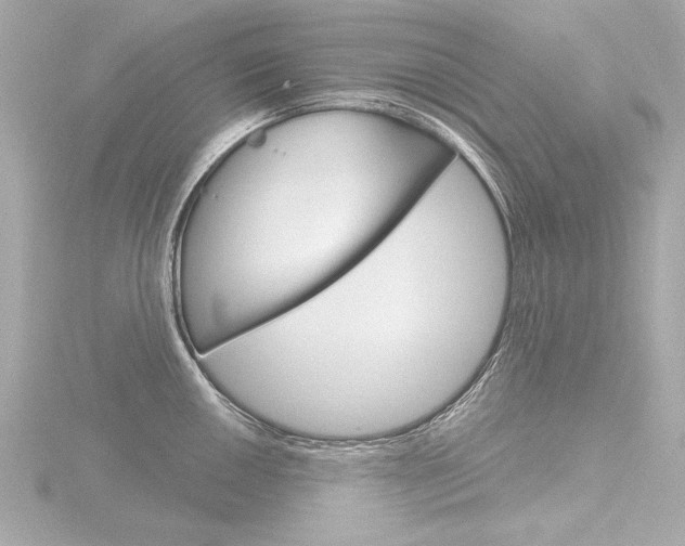 X0000116871050200912220958