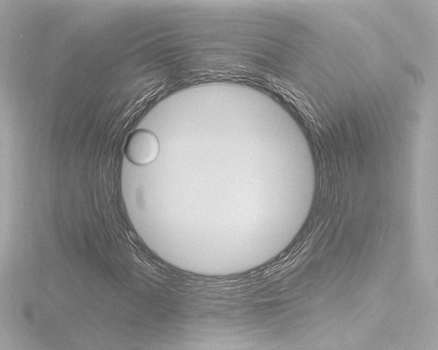 X0000116871060200912220957