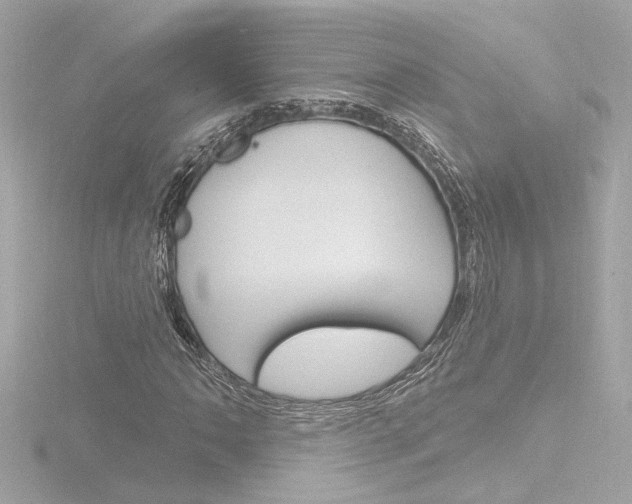 X0000116871062200912220957