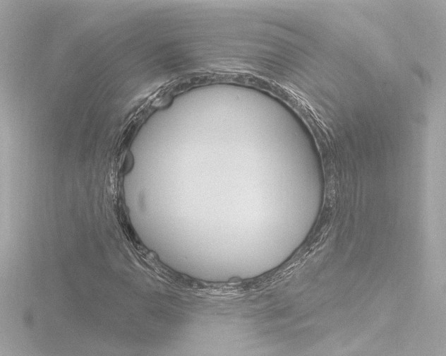 X0000116871110200912220956