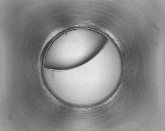 X0000116871122200912220956
