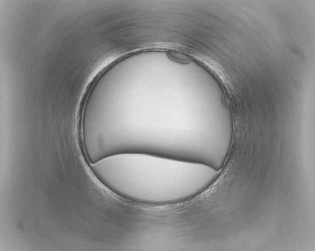 X0000116871135200912220957