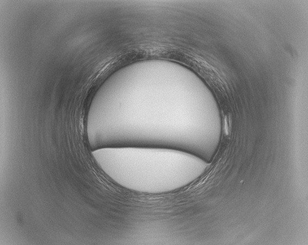 X0000116871155200912220956