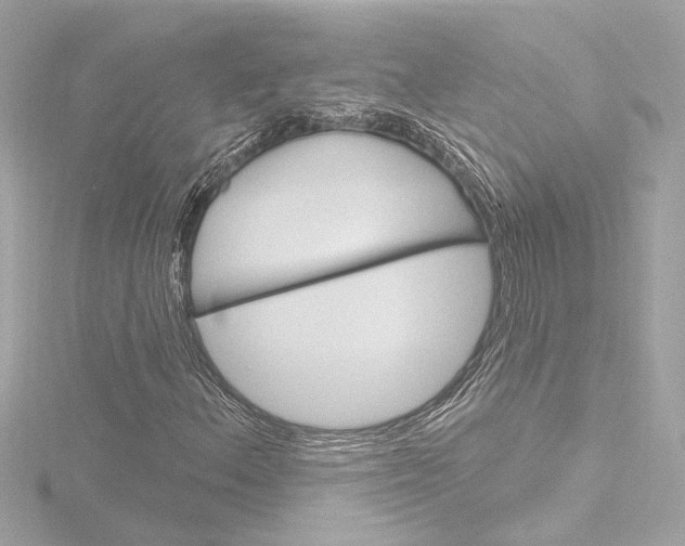 X0000116871156200912220956