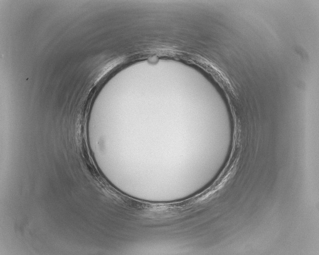 X0000116871162200912220956
