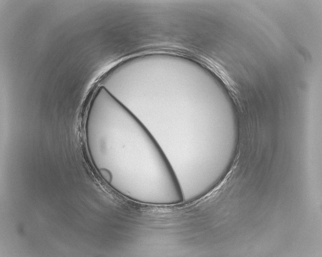 X0000116871164200912220956
