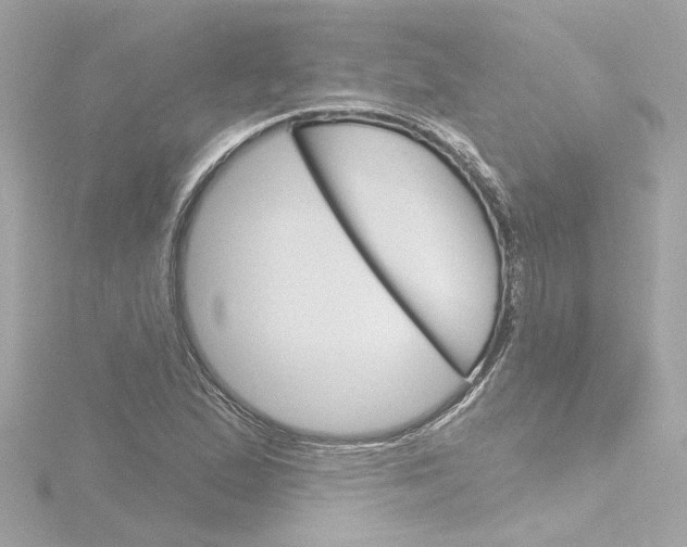 X0000116871167200912220956