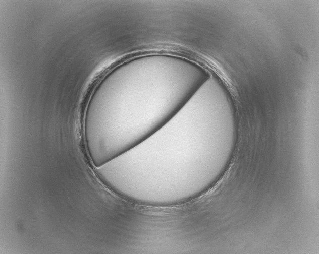 X0000116871172200912220956
