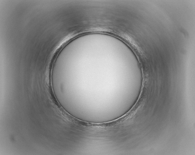 X0000116871173200912220956