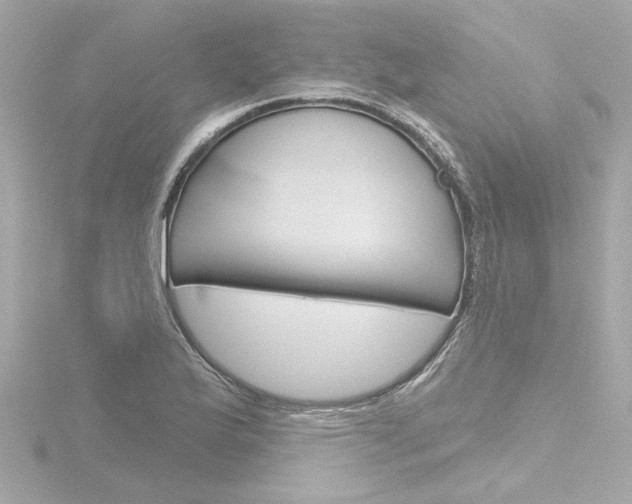 X0000116871175200912220956