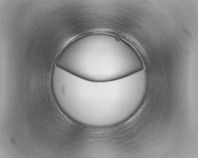X0000116871177200912220956