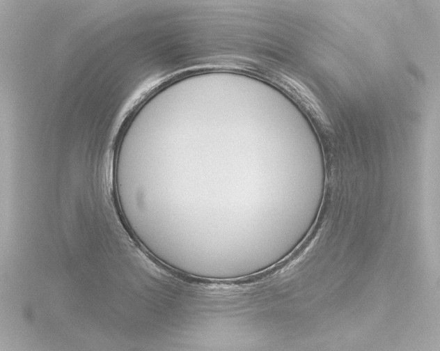 X0000116871180200912220956