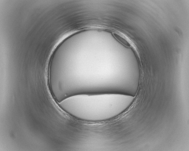 X0000116871195200912220956