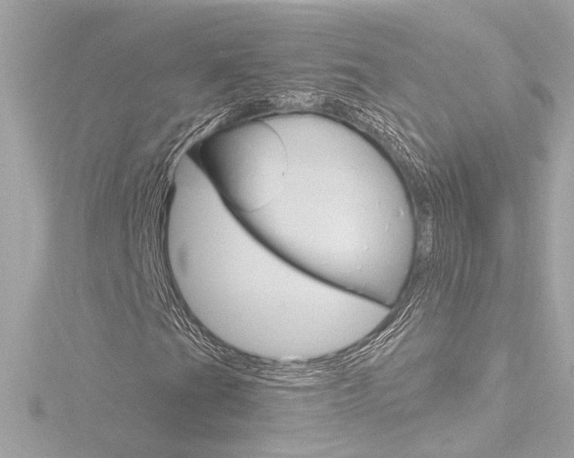 X0000116871201200912220955