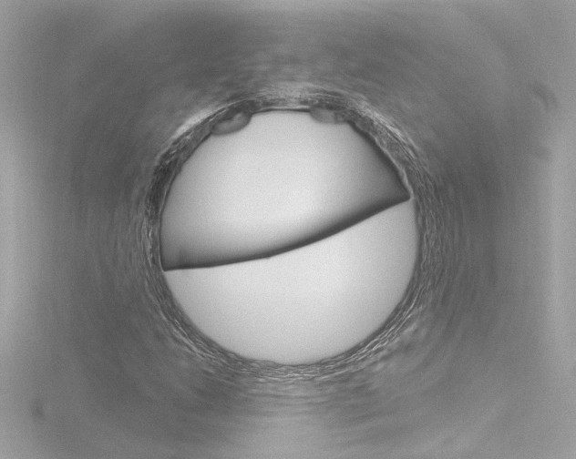 X0000116871206200912220955