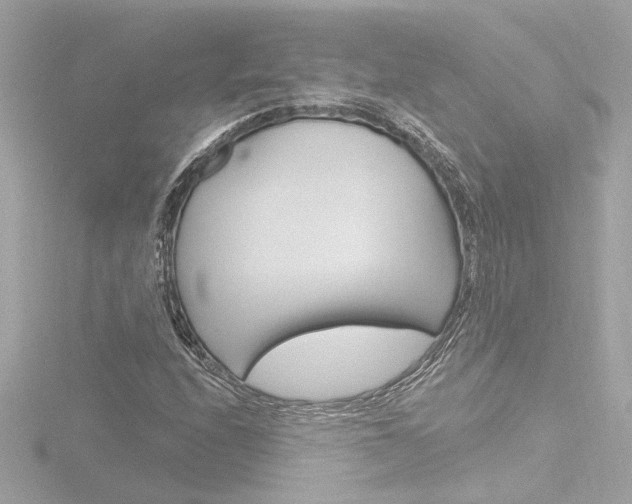 X0000116871208200912220955