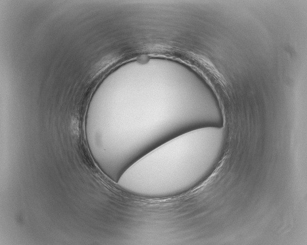 X0000116871209200912220955