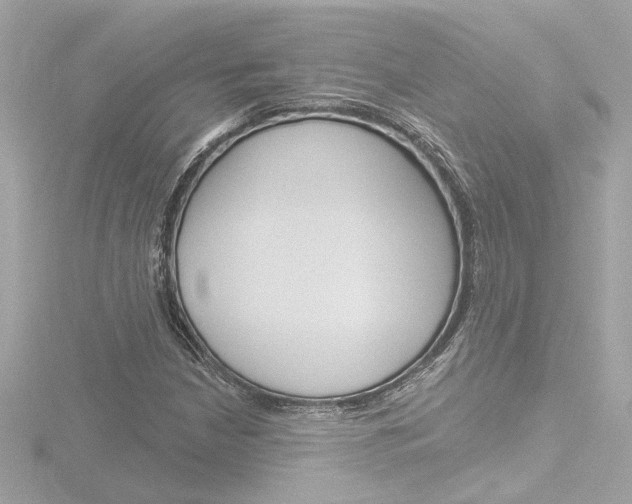 X0000116871210200912220955