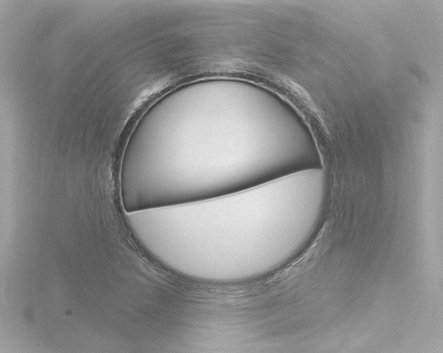 X0000116871218200912220955