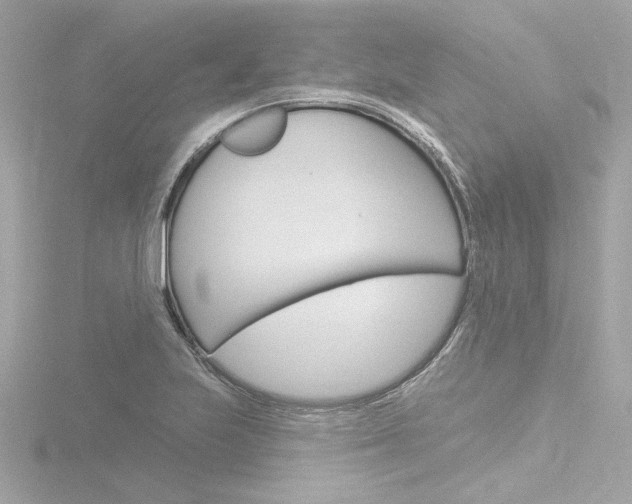 X0000116871223200912220955