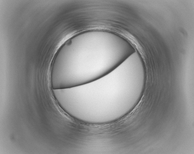 X0000116871242200912220955
