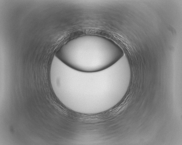 X0000116871252200912220955