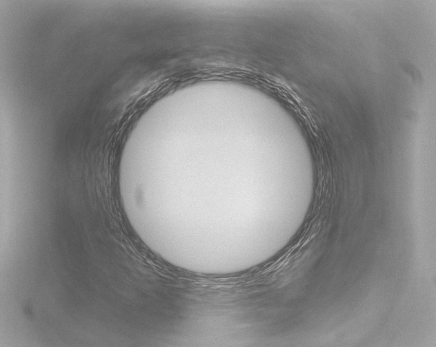 X0000116871253200912220955