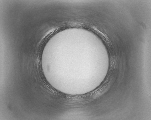 X0000116871254200912220955