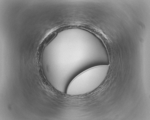 X0000116871256200912220955