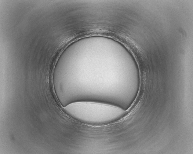 X0000116871257200912220955