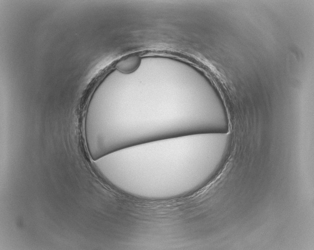 X0000116871263200912220955