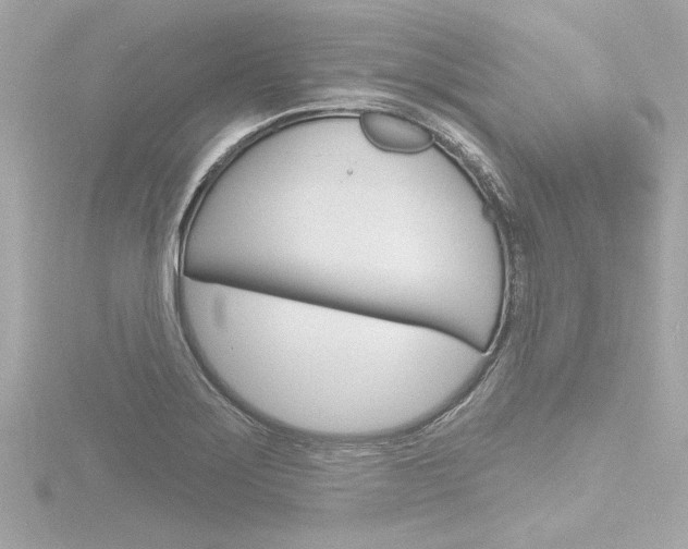 X0000116871275200912220955
