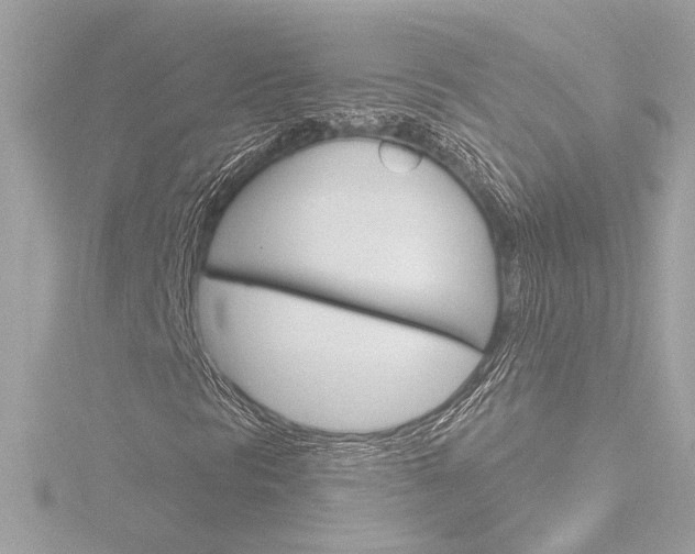 X0000116871297200912220954