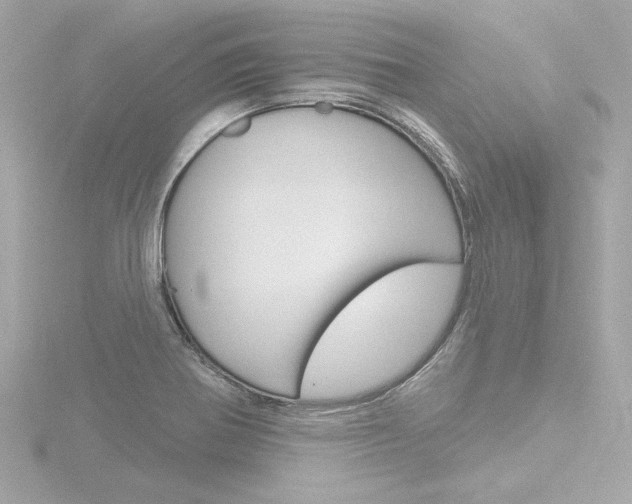 X0000116871370200912220953