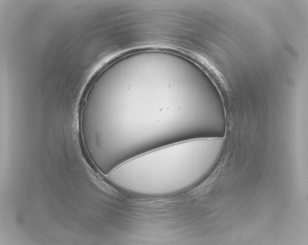 X0000116871372200912220953