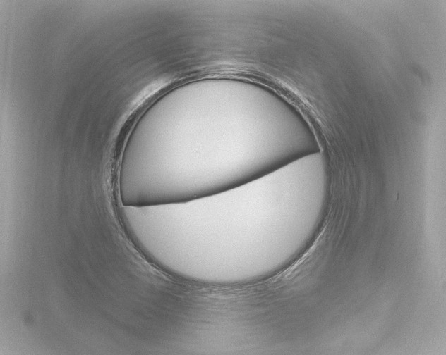 X0000116871410200912220953