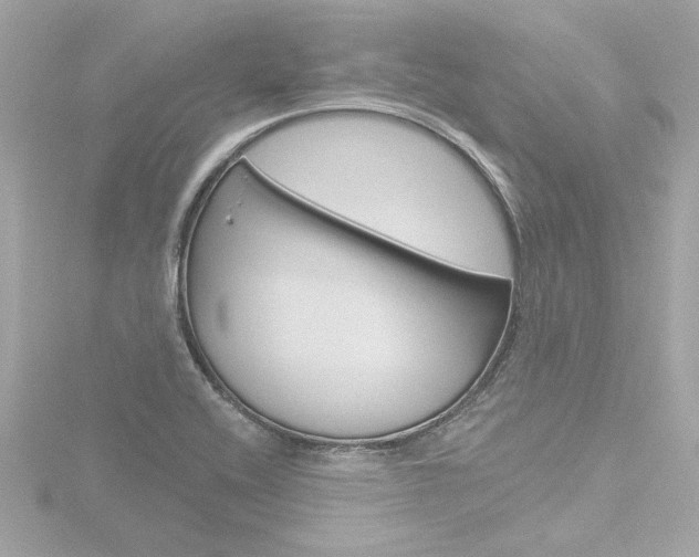 X0000116871416200912220953