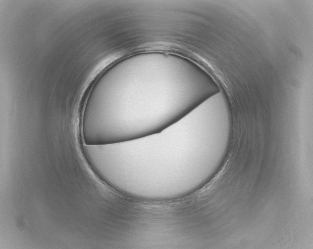X0000116871418200912220953