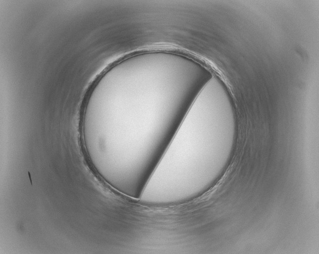 X0000116871422200912220953