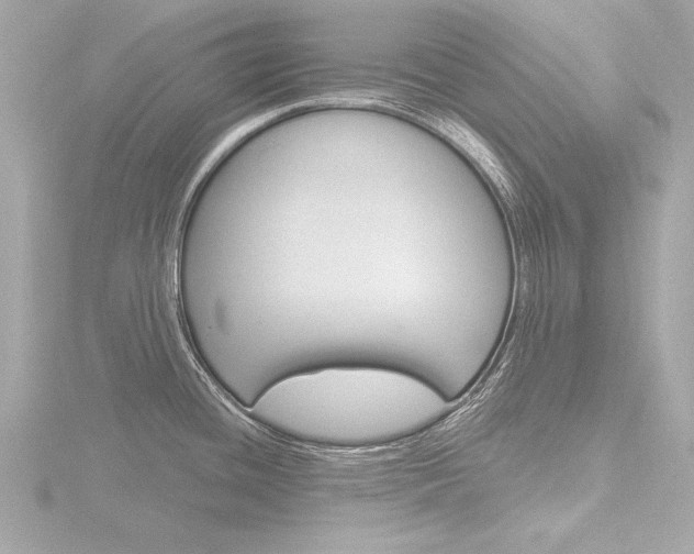 X0000116871436200912220953