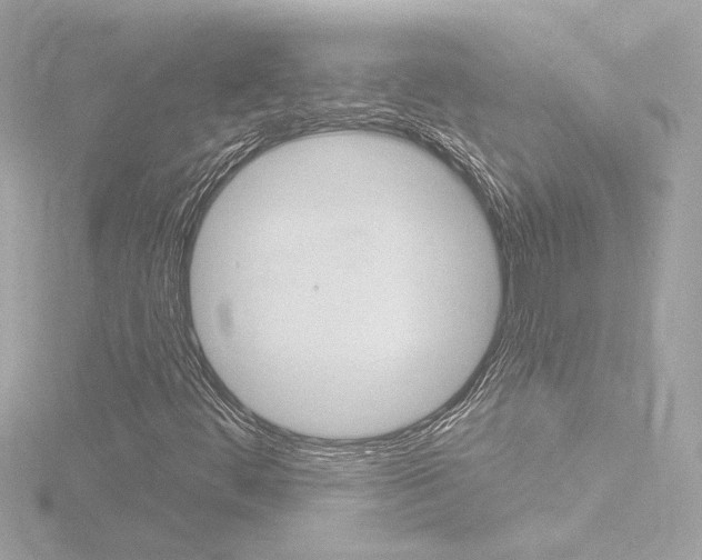 X0000116871444200912220952