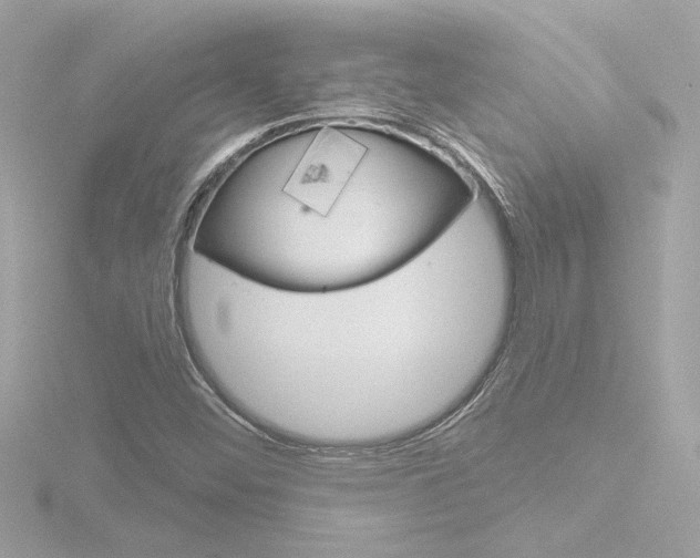 X0000116871452200912220952