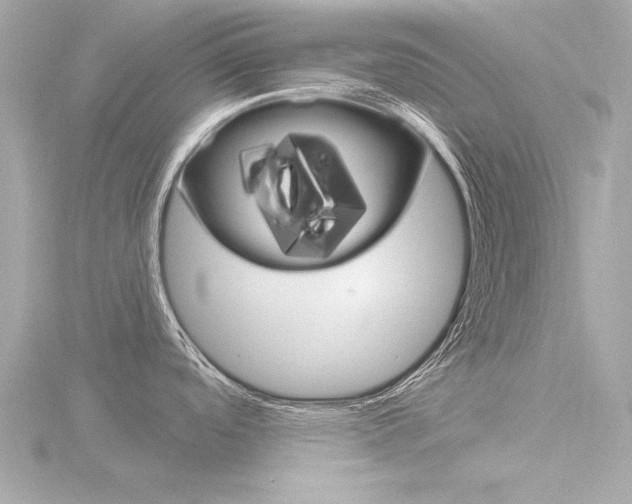 X0000116871488200912220952