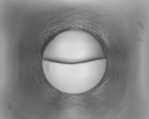 X0000116871490200912220951