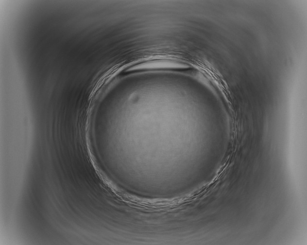 X0000116870001200912221415