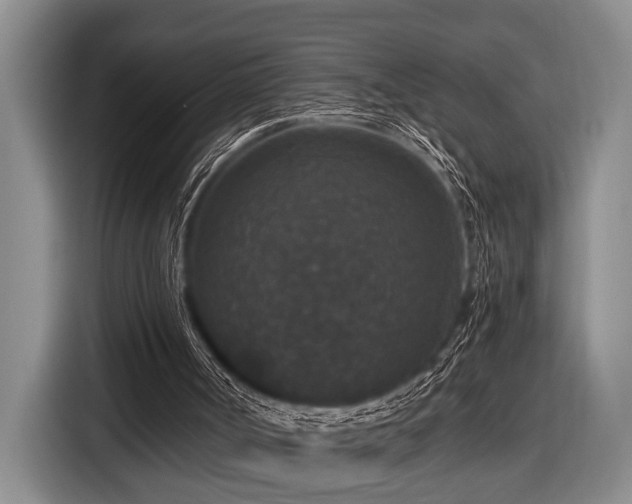 X0000116870002200912221415