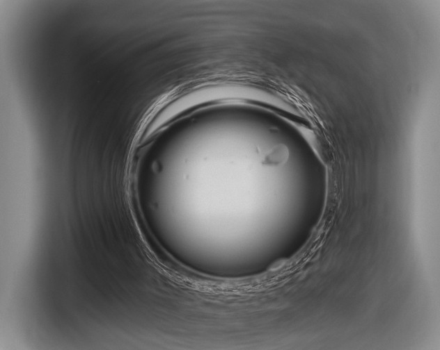 X0000116870003200912221415