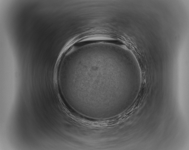 X0000116870004200912221415